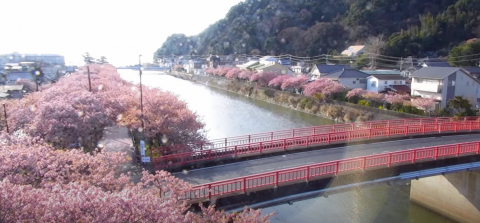 Kameraansicht des Flusses Kawazu in Izu